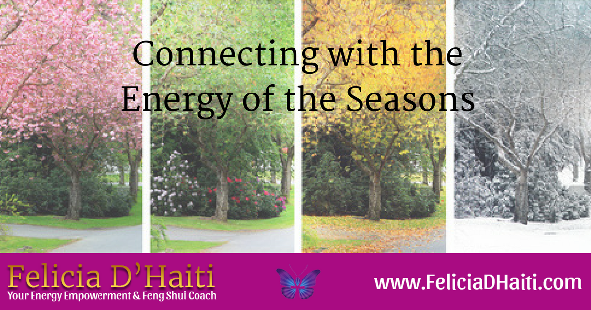 Connecting with the Energy of the Seasons