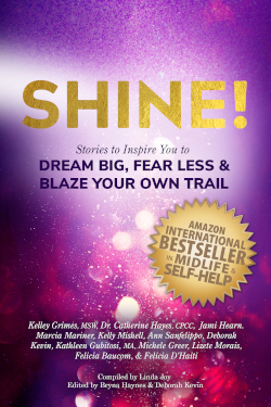 SHINE! book cover